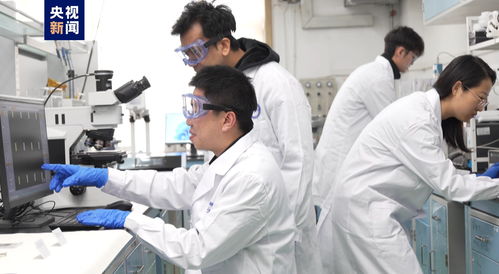 我國科研人員實現(xiàn)二維金屬碲化物材料宏量制備，助力材料科學規(guī)?；瘧? />
</span>
<span id=